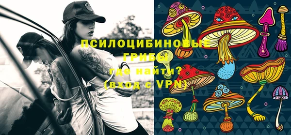 дживик Галич