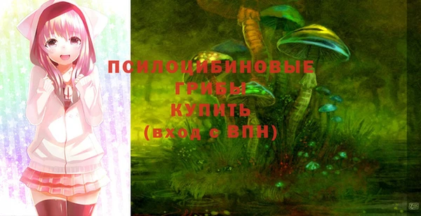 apvp Баксан