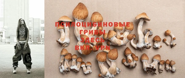 прущая мука Гвардейск