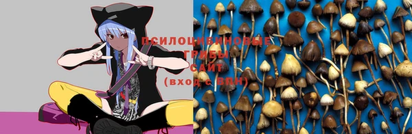 каннабис Гатчина