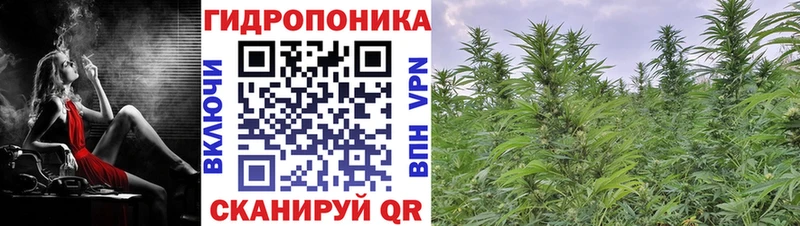 Конопля сатива  Белый 